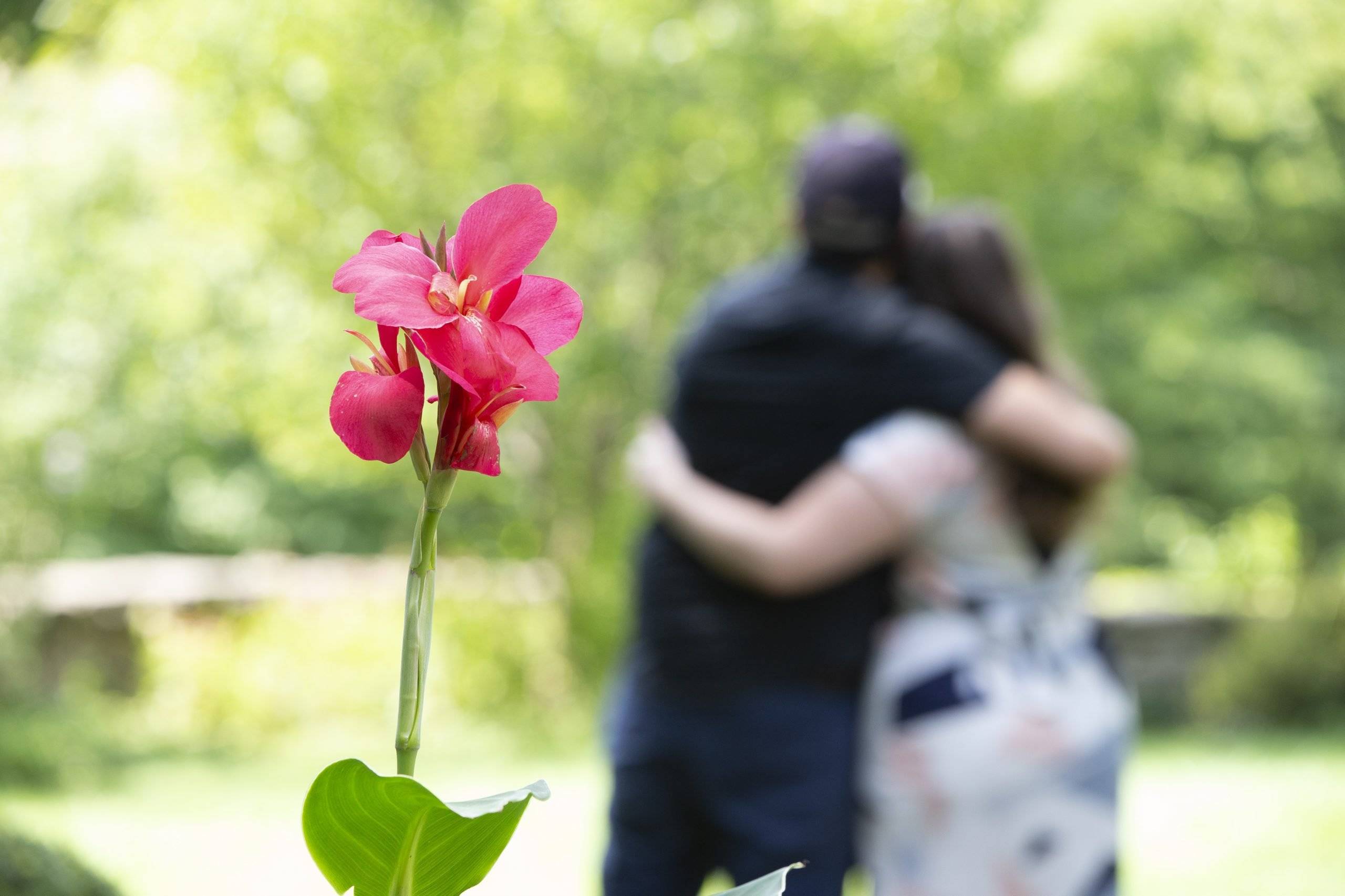 A man and woman hugging in front of a flower.