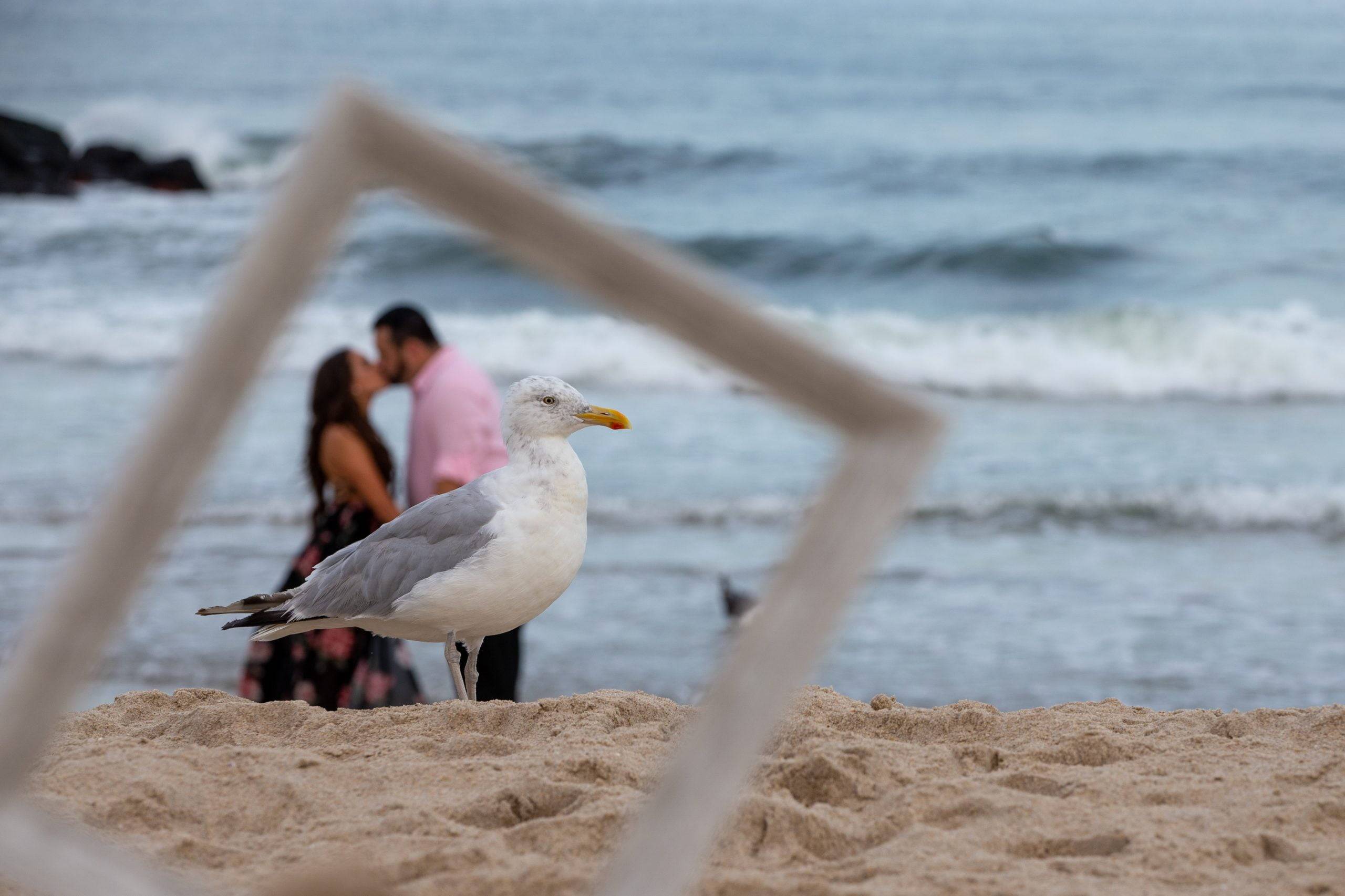 A seagull is standing on the sand next to a couple.