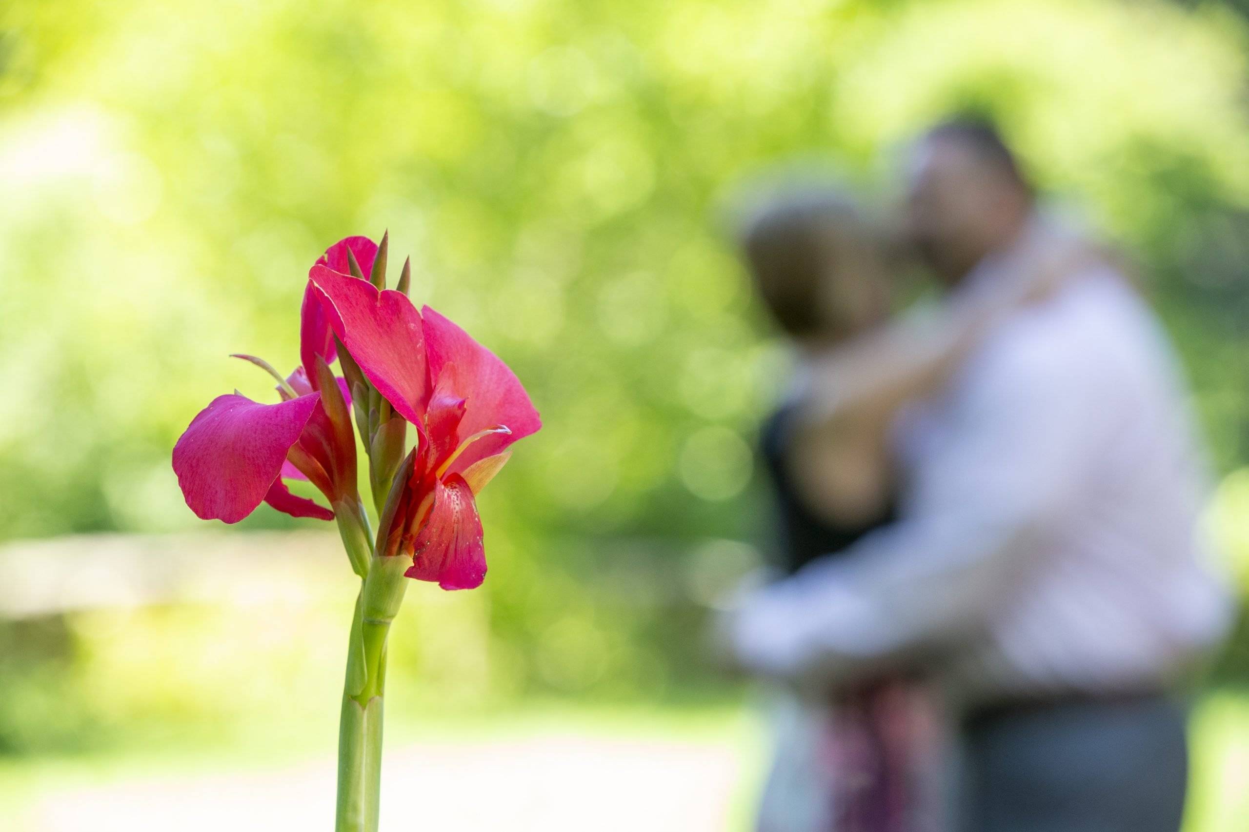 A man and woman are embracing in front of a flower.