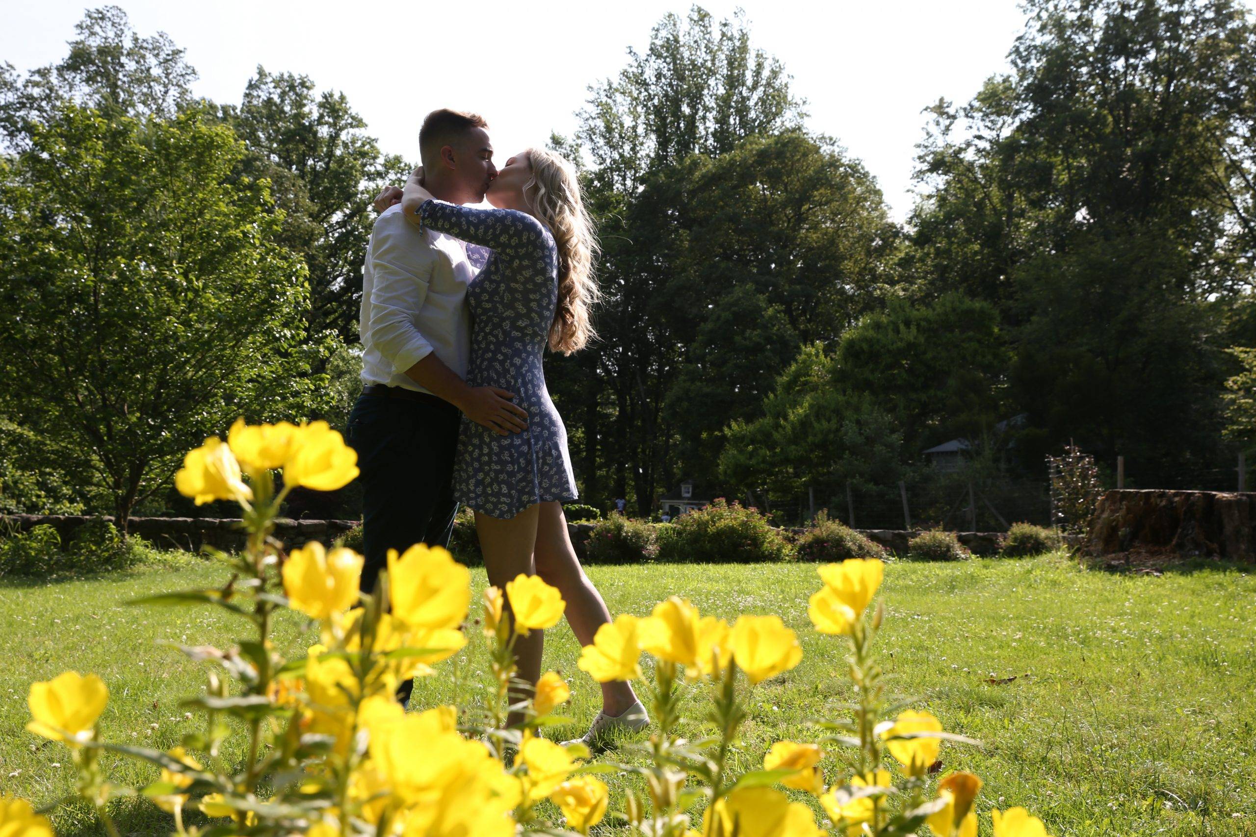 A couple kissing in a field of yellow flowers.